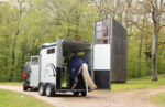 Remorque Van Cheval Liberté Jumping Luxe Touring – Image 2